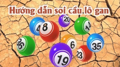 Bí kíp săn lùng lô gan - Rinh thưởng đậm và thắng lớn mỗi ngày